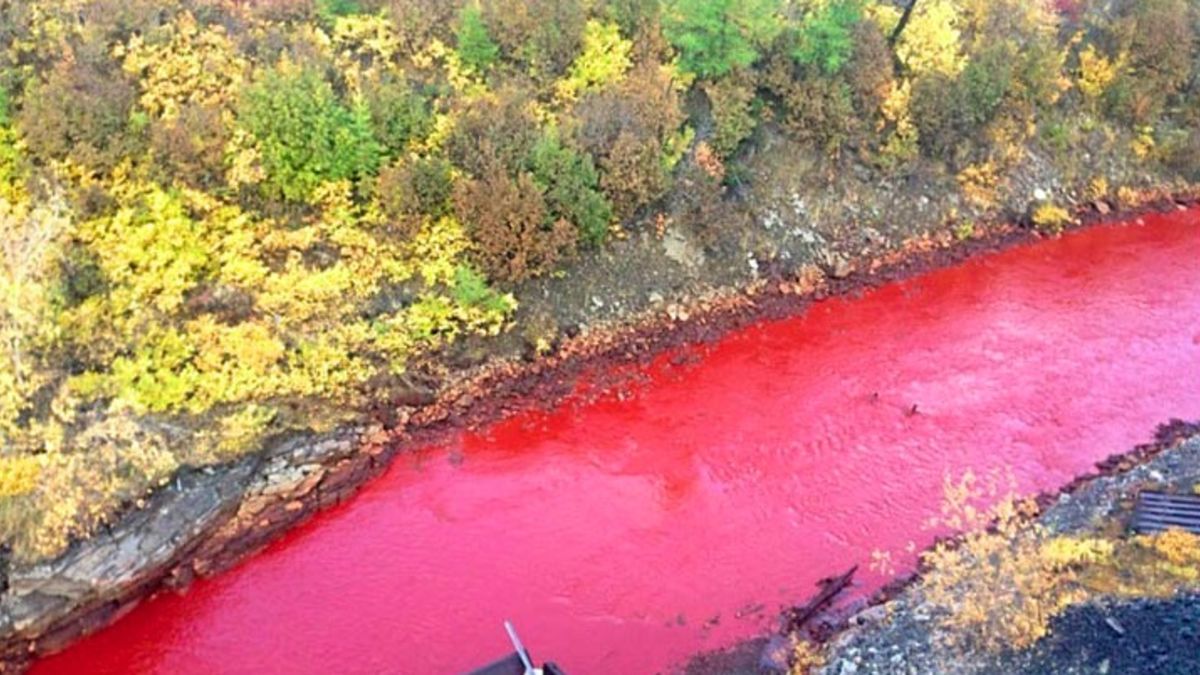 "Decoding the Enigma: Iskitimka River's Mysterious Discoloration Ignites Urgency and Hope | Investigating Pollution, Public Outcry, and Collaborative Solutions ",2023